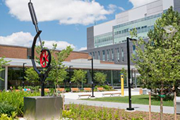 Humber Campus